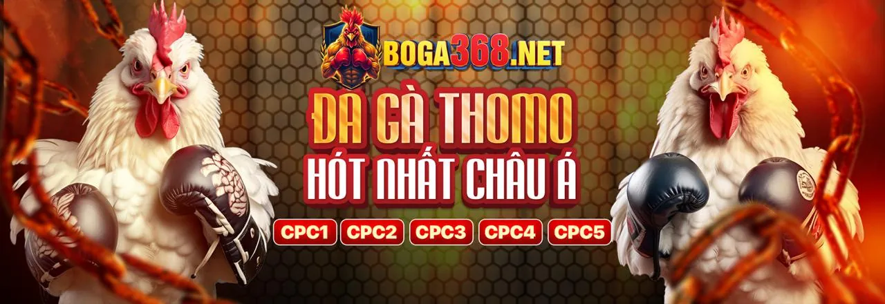 Hướng dẫn chơi Tài Xỉu cho người mới bắt đầu